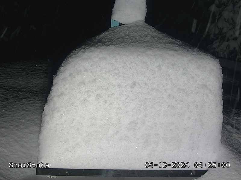 The snow stake at Copper Mountain Resort, which measures up to 18 inches tall, is buried by snow from a mid-April snow storm that blanketed the resort with heavy snow Monday, April 15 into Tuesday, April 16, 2024. (Copper Mountain Resort)