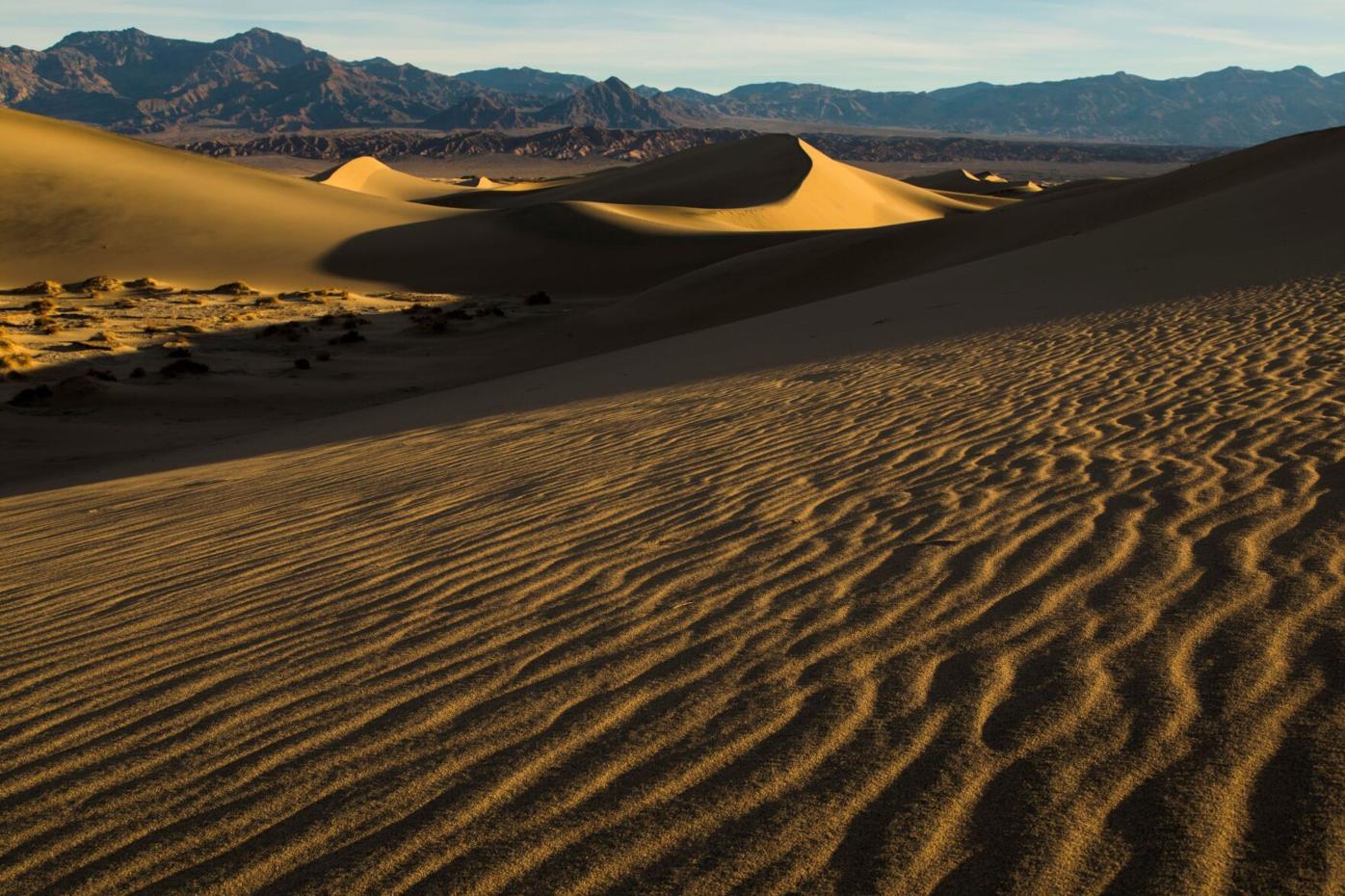 Oasis at Death Valley Mesquite Dunes at Sunrise