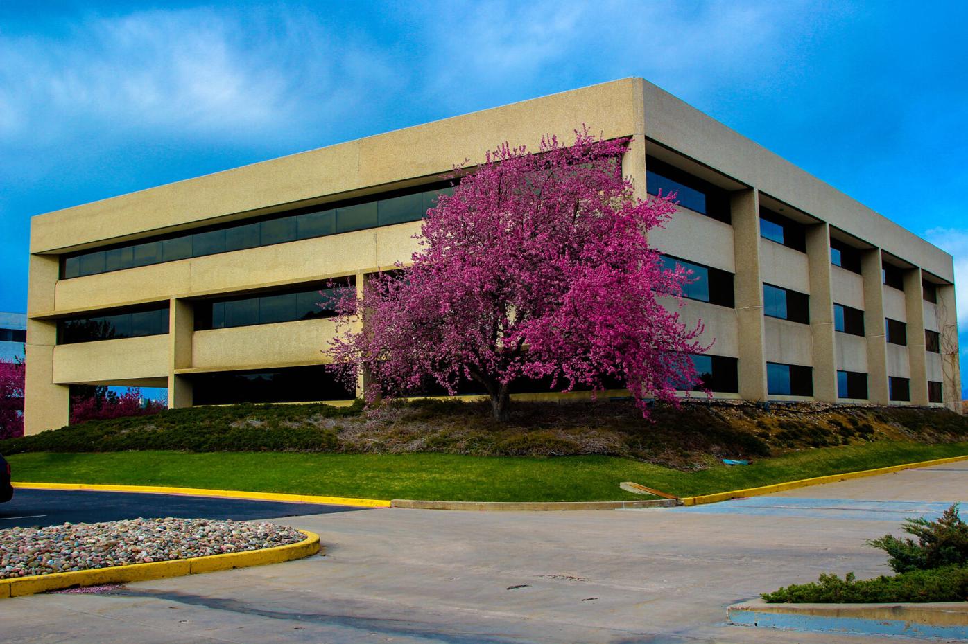 AI building blossoms (3 of 23).jpg