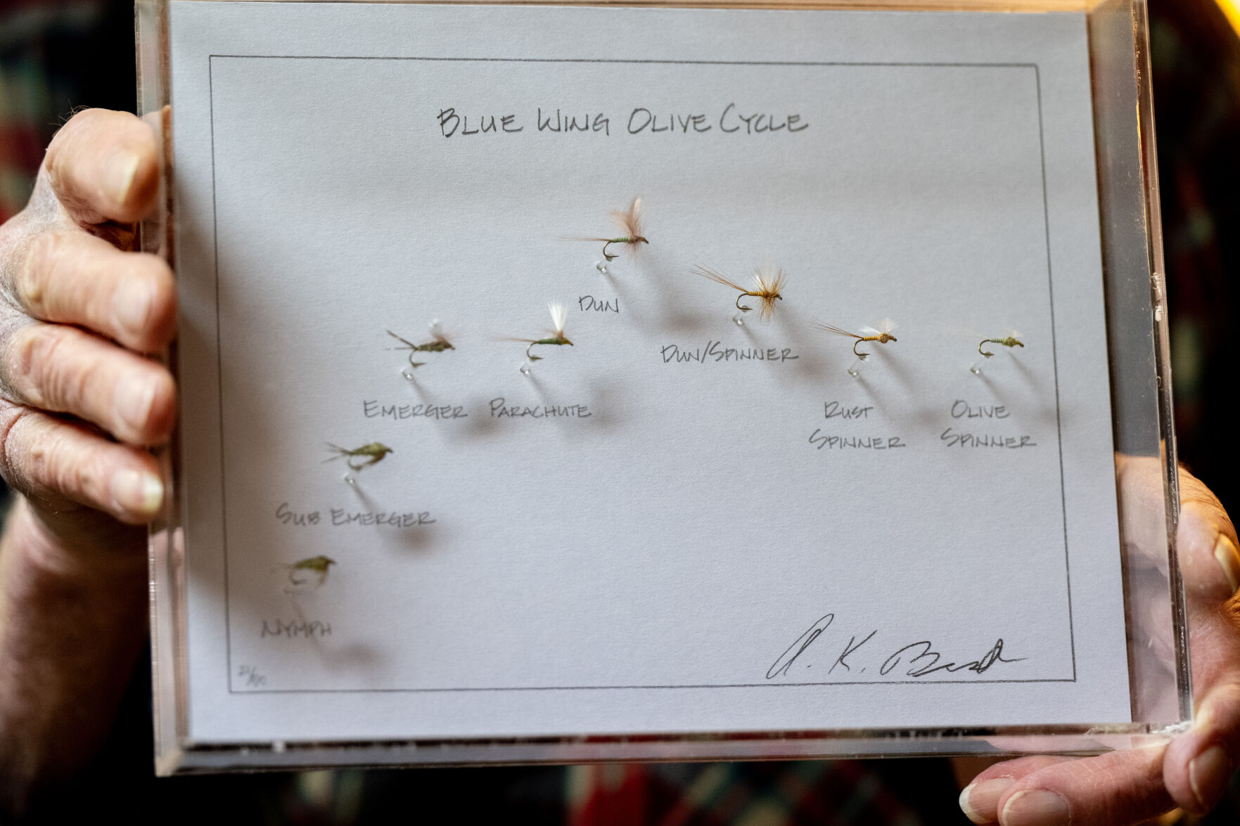 A.K. Best holds up a case with flies from the cycle of a blue wing olive fly at his home, Friday, March 22, 2024, in Boulder, Colo. (Parker Seibold, The Gazette) (Parker Seibold)