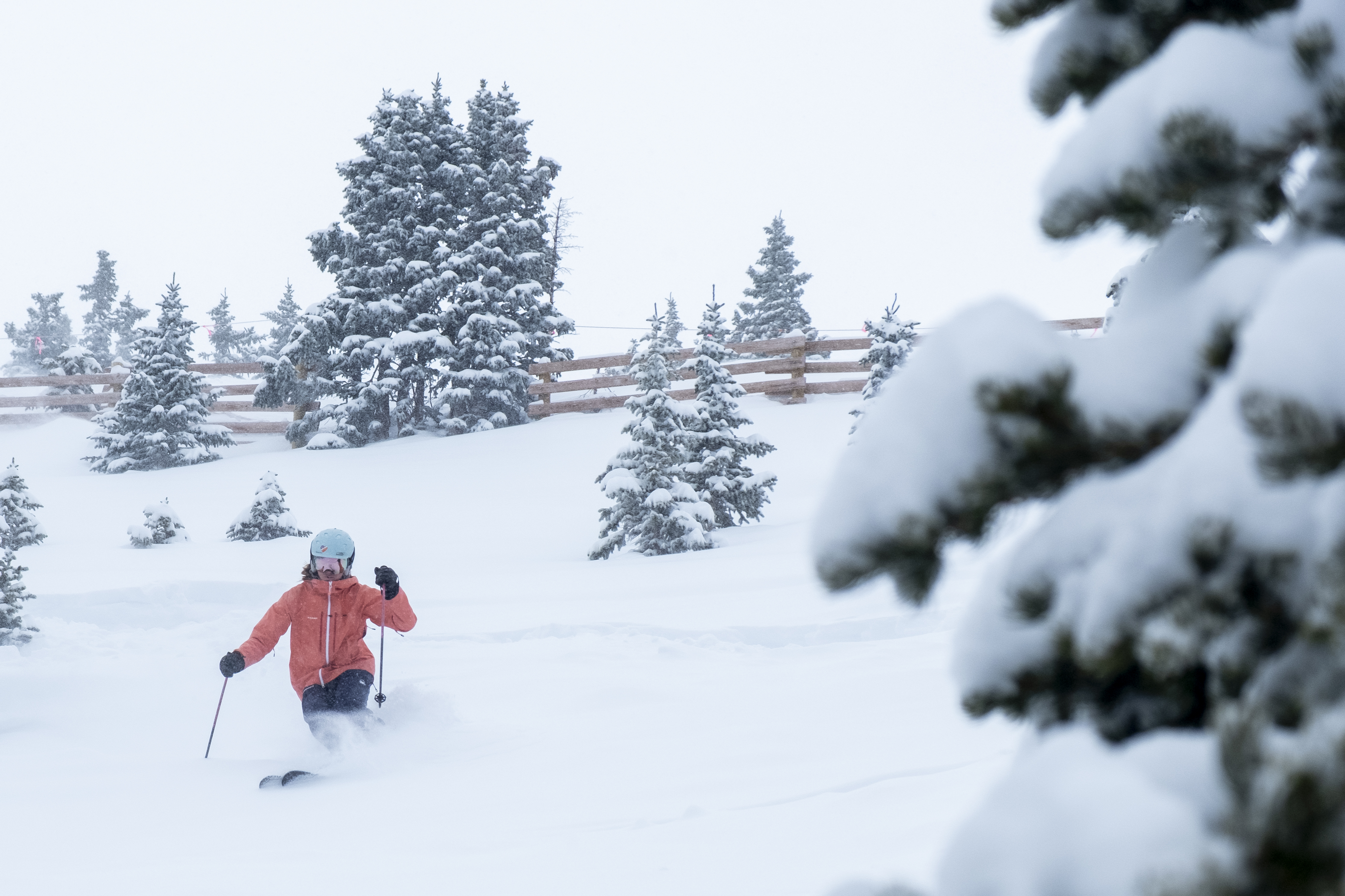 Valerie Arcara skis a line through the trees during a fresh snow day Saturday, Feb. 3, 2024 at Arapahoe Basin Ski Area in Dillon, Colorado. Arcara is a transgender woman and Arapahoe Basin mountain athlete. (JonathanIngrahamDigital Strategistjonathan.ingraham@denvergazette.comhttps://denvergazette.com/content/tncms/avatars/c/dd/7f0/cdd7f086-b693-11ec-b373-bba598953eb6.fc0f5608a6f1144f64f080f771bd904d.png)