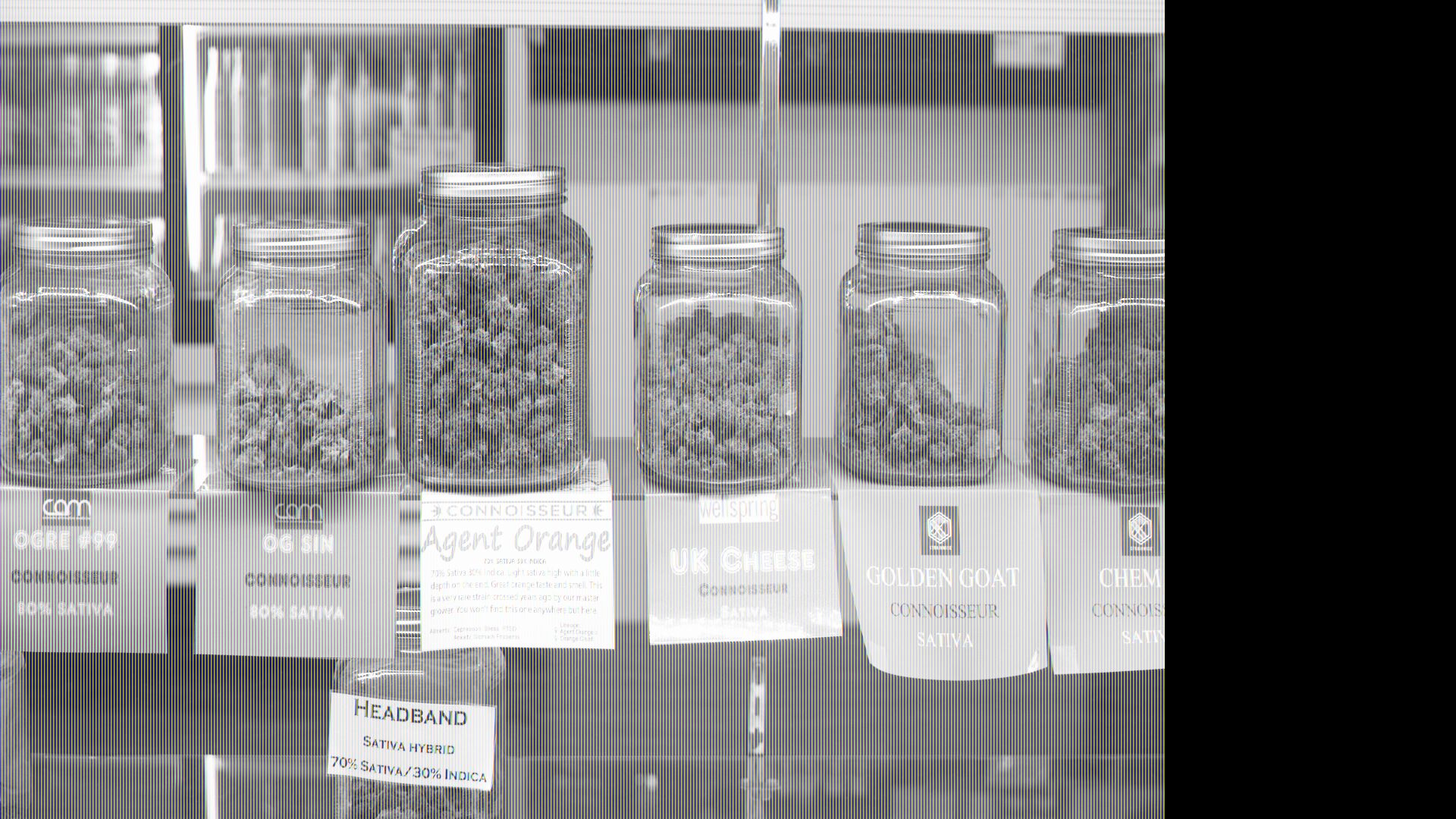 A screenshot from the 2015 documentary