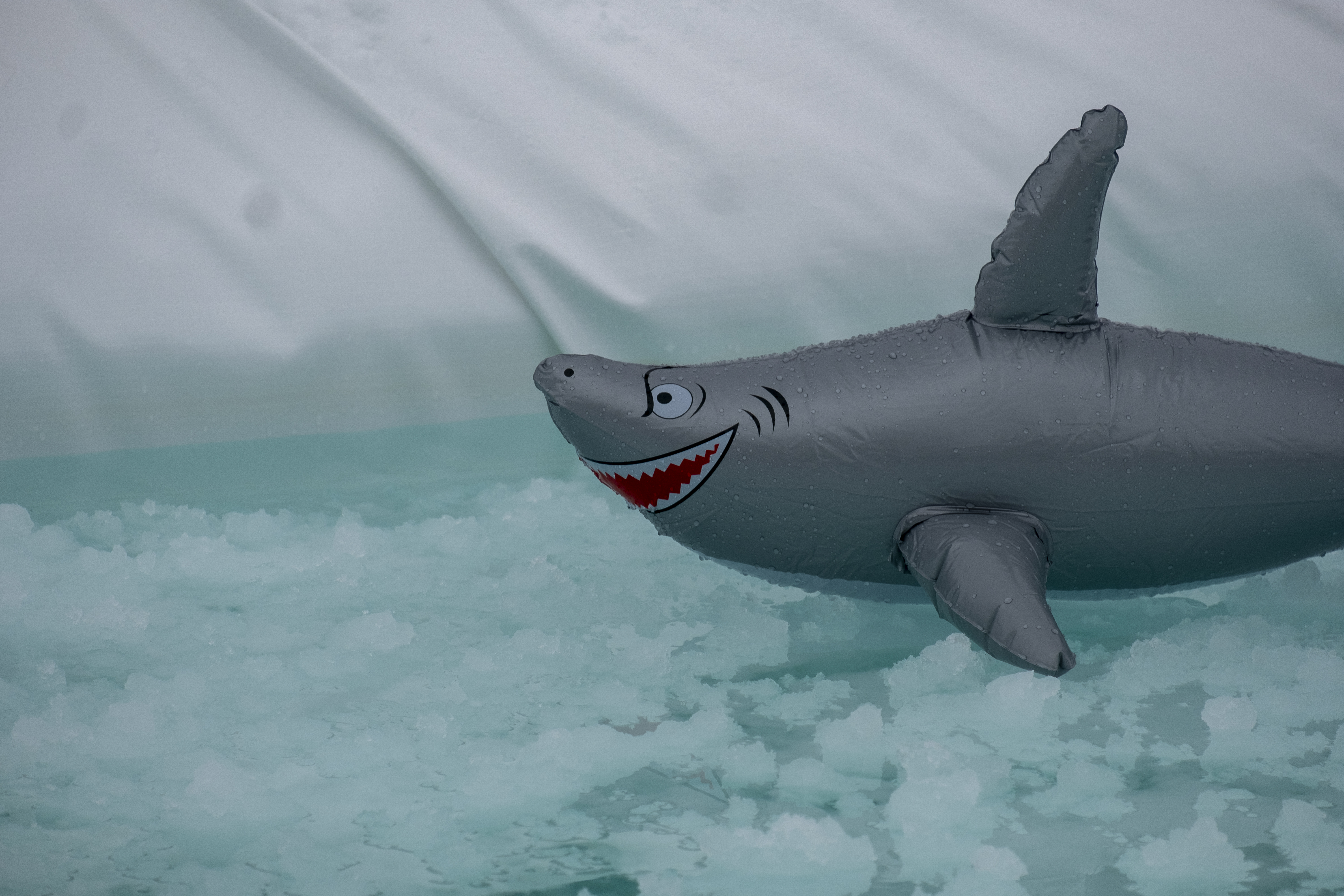 An inflatable toy shark looms in the icy waters of the pond skim pond at the 2nd annual Slush Rush Saturday, April 27, 2024 at Copper Mountain Resort at Copper Mountain, Colorado. (JonathanIngrahamDigital Strategistjonathan.ingraham@denvergazette.comhttps://denvergazette.com/content/tncms/avatars/c/dd/7f0/cdd7f086-b693-11ec-b373-bba598953eb6.fc0f5608a6f1144f64f080f771bd904d.png)
