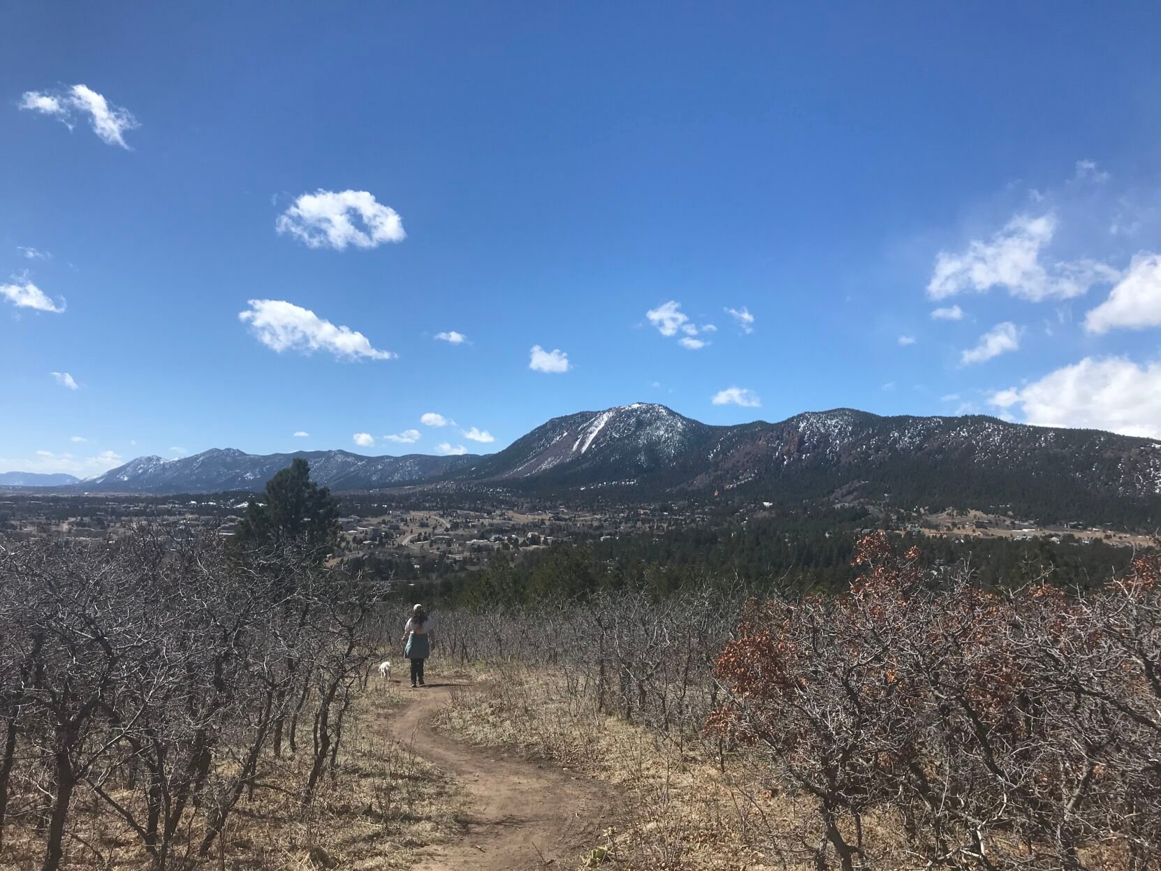 LEFT: View from Far View Trail at Santa Fe Open Space in Palmer Lake. RIGHT: Big trees greet hikers entering Santa Fe Open Space in Palmer Lake. (the gazette photos)