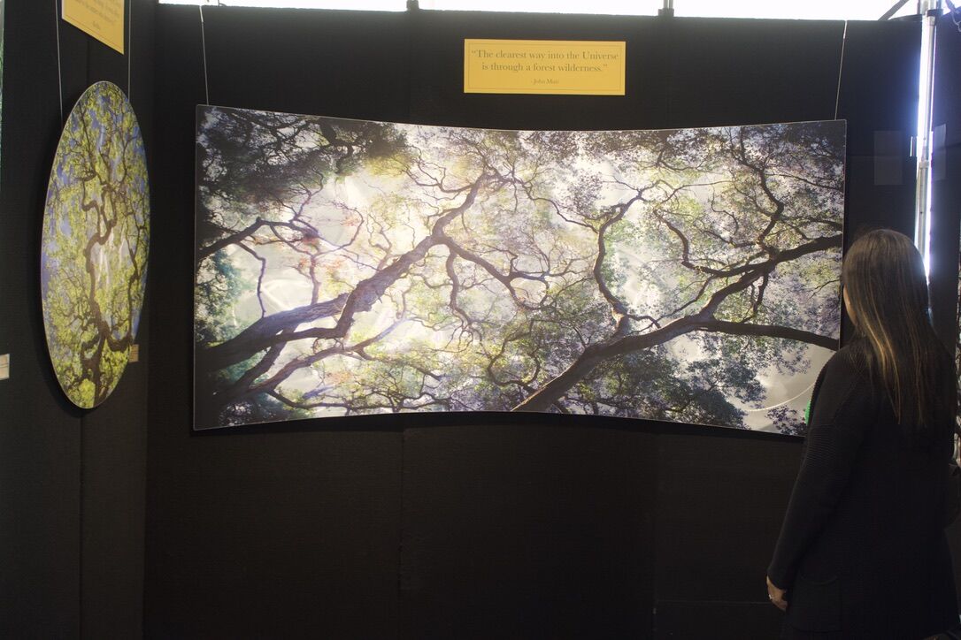 A woman taking in the artwork of one of Mark Stephenson's three-dimensional movement and illusion art pieces at the 25th annual Denver Arts Festival in the Conservatory Green at Stapleton on Sunday, May 26 in Denver. (NoahFestensteinCity Government Reporternoah.festenstein@denvergazette.comhttps://denvergazette.com/content/tncms/avatars/9/f0/326/9f032698-379f-11ee-8053-8bacbed4931f.60984dba383441d9647e0e740a08a8e6.png)