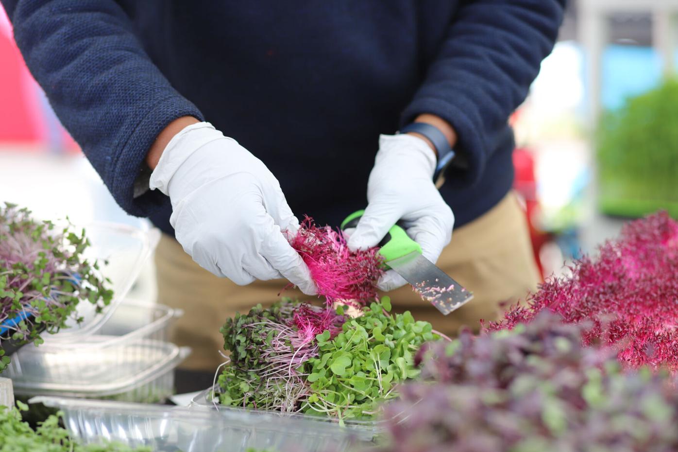 Farmer’s market season is underway in the Denver metro area. Here’s a look at local markets and when they open