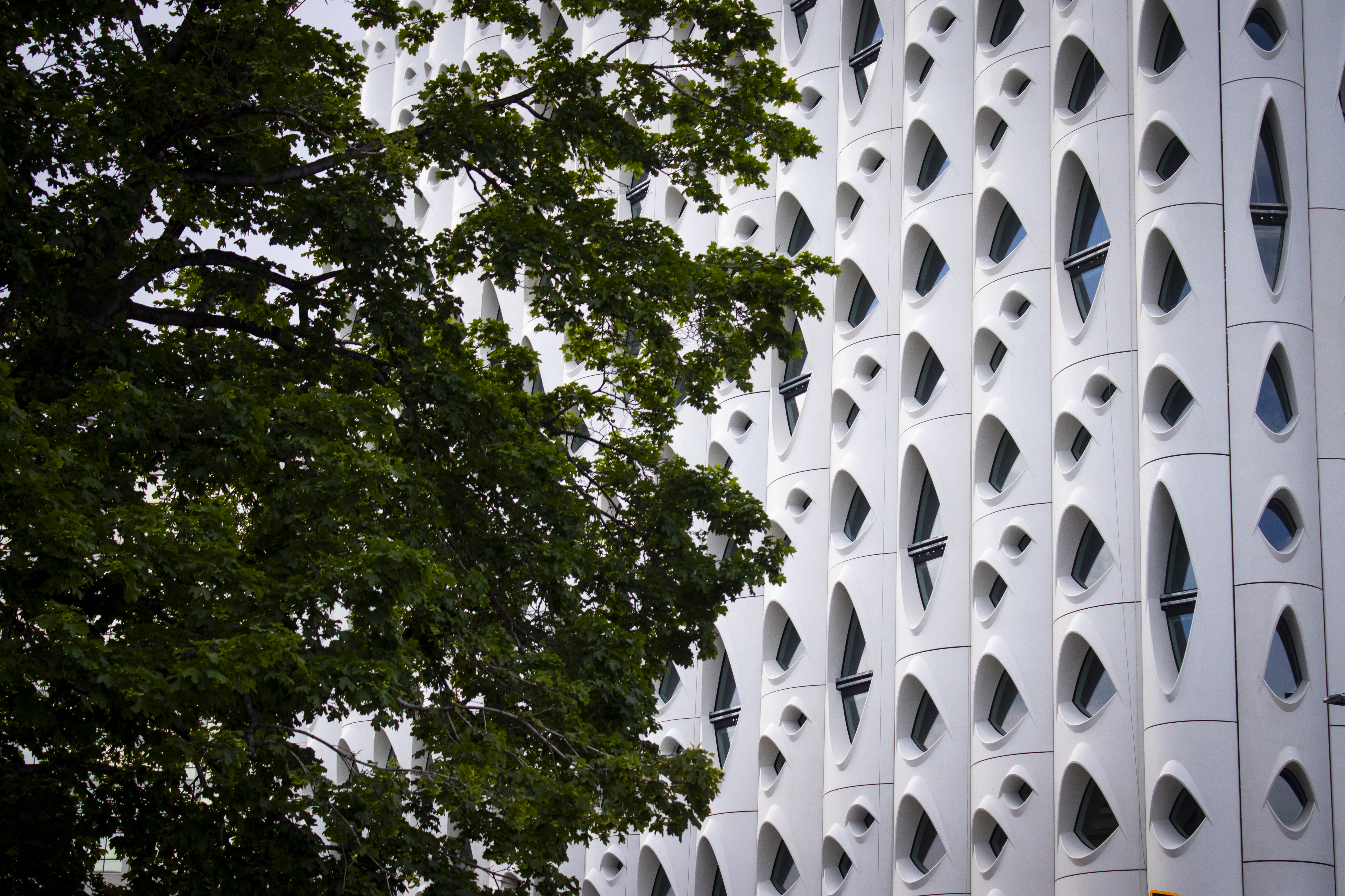 The Populus Hotel in downtown Denver is inspired by the aspen tree and the dark spots found on its bark. (Bernadette Berdychowski / Denver Gazette)