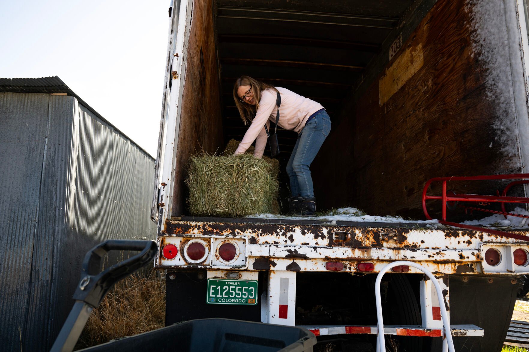 Carrie Thornburgh, the founder of OutPaws’ Sweet Home Sanctuary, loads hay for her goats into a wheelbarrow last month Tuesday, April 16, 2024, in Peyton. (photos by Parker Seibold, the gazette)