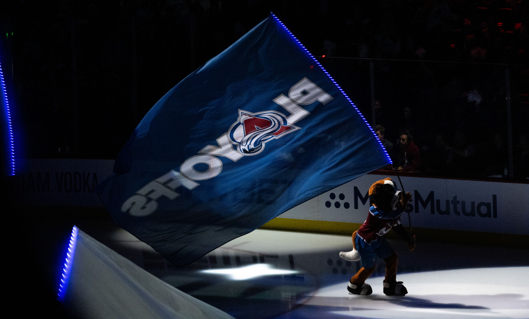 Avalanche mascot Bernie skates during the pregame of Game 4 of an NHL Stanley Cup second-round playoff series between Colorado and the Dallas Stars Monday, May 13, 2024, at Ball Arena in Denver. (The Gazette, Christian Murdock) (Christian Murdock/The Gazette)