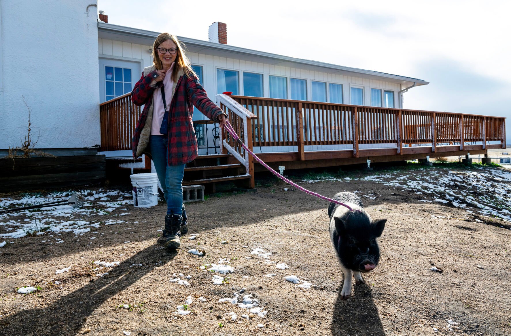 Carrie Thornburgh, the founder of OutPaws’ Sweet Home Sanctuary, walks Squirt, one of her rescue pigs, out to his pasture, Tuesday, April 16, 2024, in Peyton. The 18-month-old rescue arrived a year ago and is one of 118 animals that live at the sanctuary. (Parker Seibold)