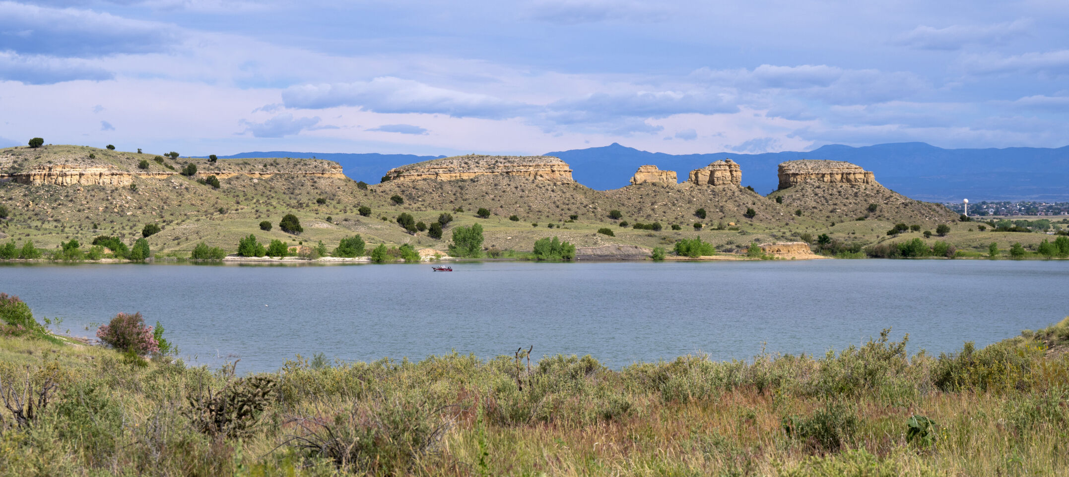 A motor boat glides through the waters of Bogg’s Creek Cove on Pueblo Reservoir in Lake Pueblo State Park Tuesday, June 4, 2024. (Christian Murdock, The Gazette)