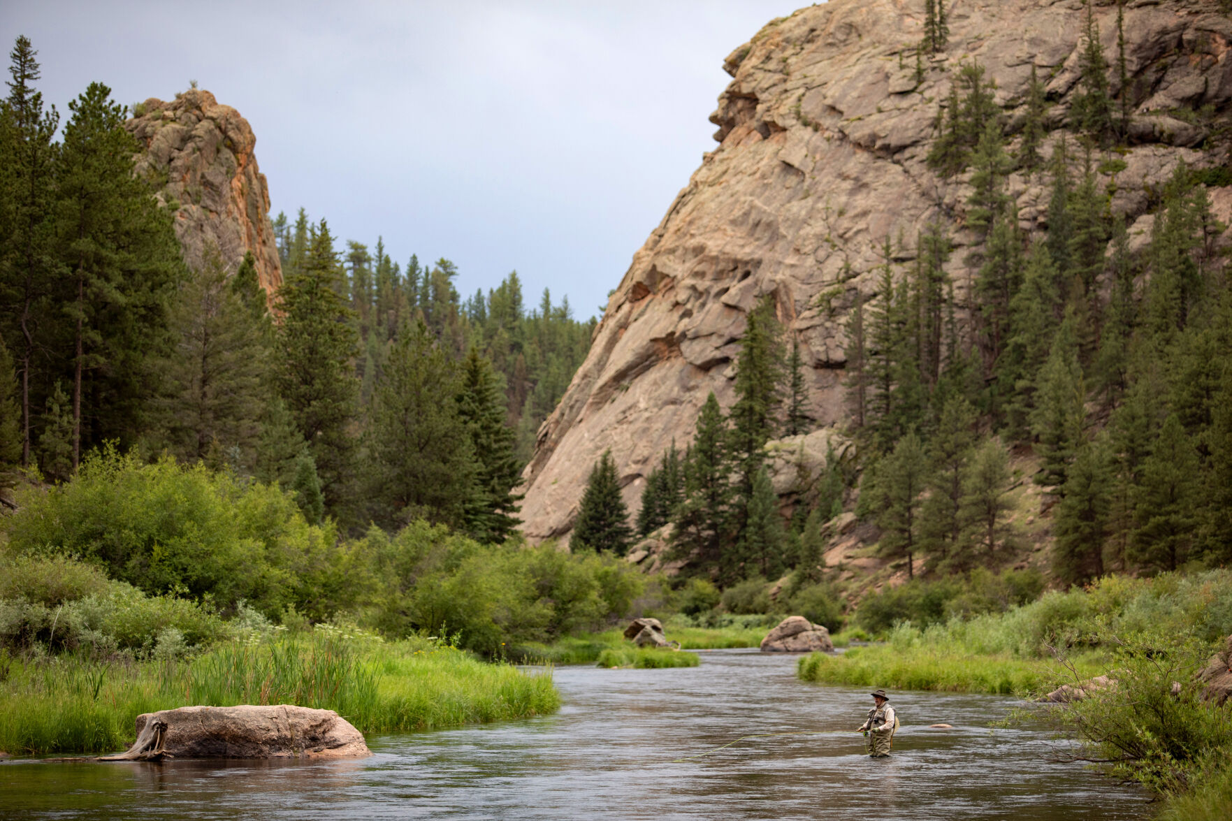 Trout, bass, catfish and more: A guide to Colorado’s fish and where to find them