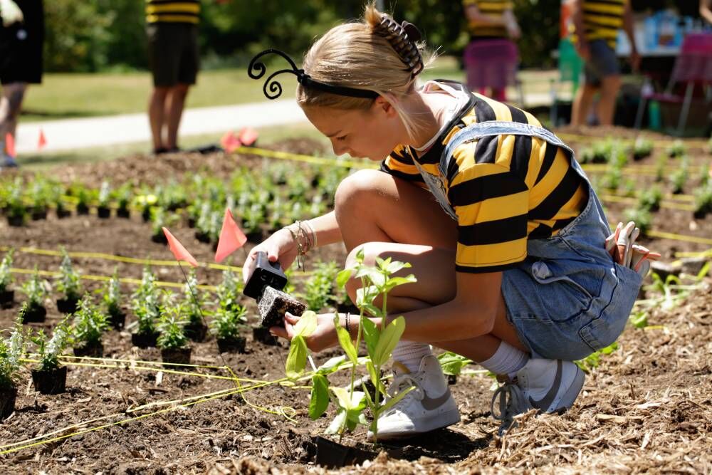 The Bee Team planted flower beds called