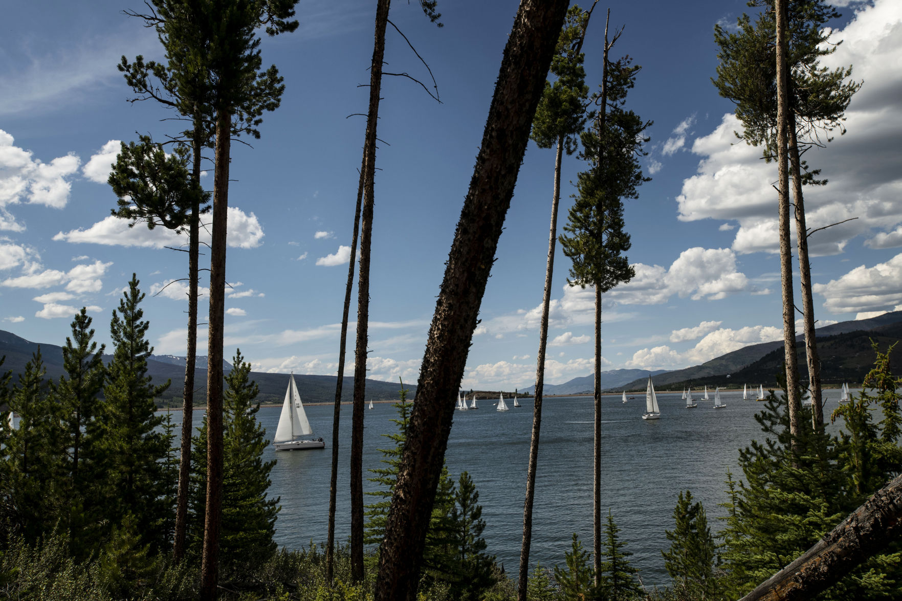 Sailboats skim across Dillon Reservoir in Summit County. Chancey Bush (Chancey Bush, THE DENVER GAZETTE)