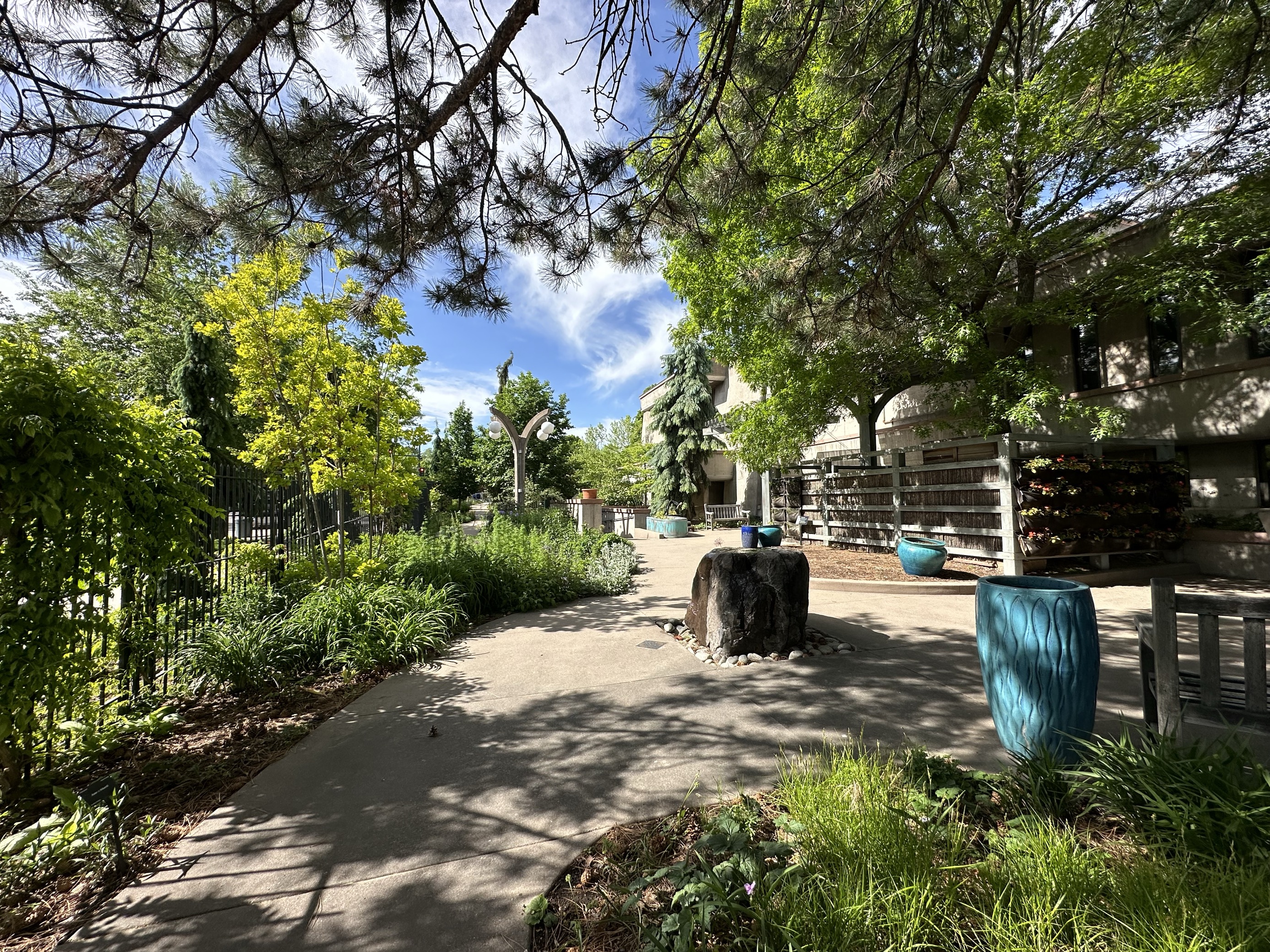 The Sensory Garden path along York Street offers a quiet space to enjoy the gardens, away from the crowds and even a great spot for a photo op. The Sensory Gardens offer a touch and feel experience and garden beds of all heights for patrons of differing abilities. (Emily Bejarano/Denver Gazette)
