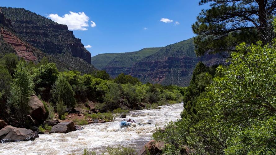 dolores river (copy)