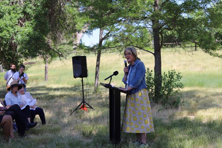 Arapahoe County Commissioner Carrie Warren-Gully