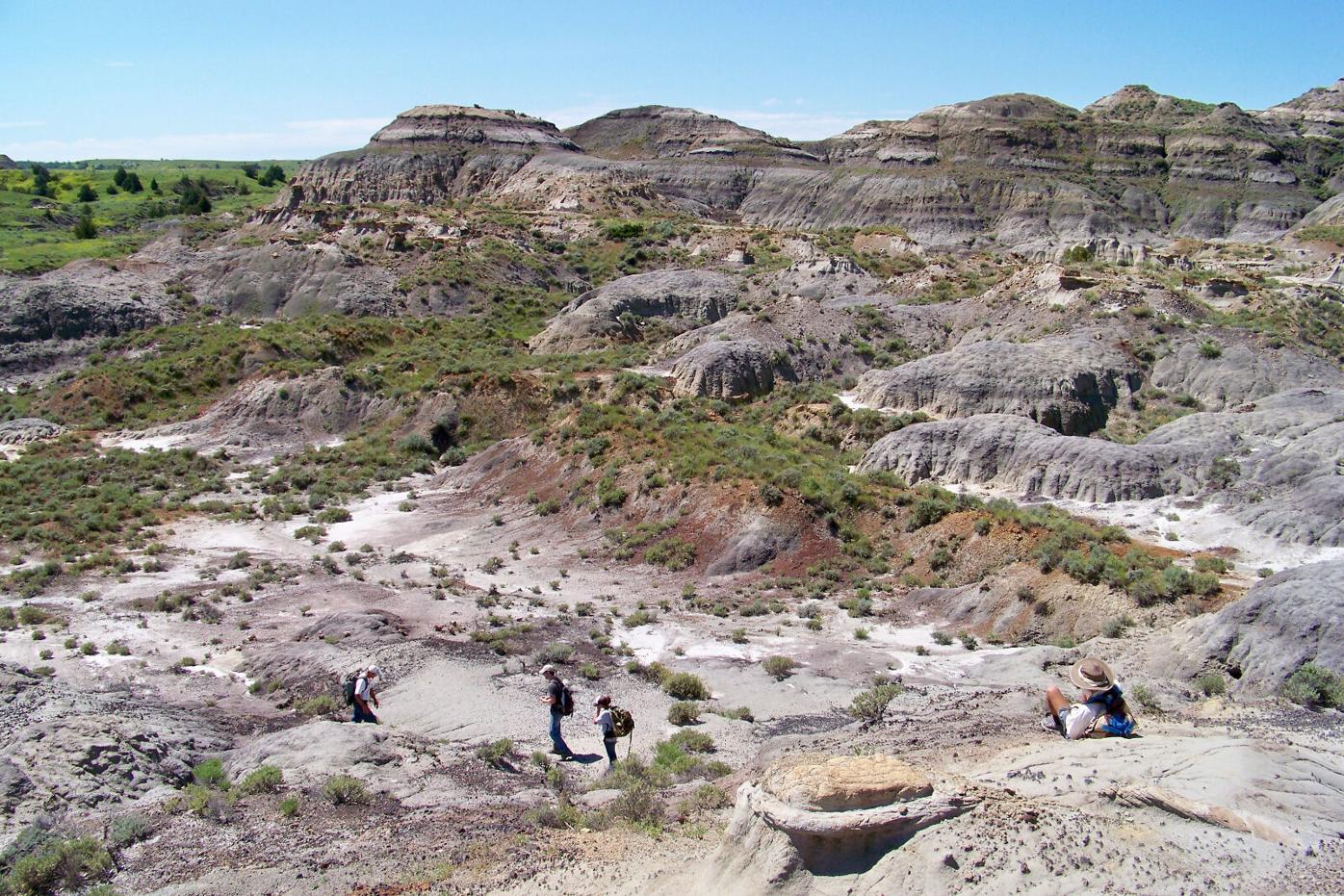 Teen Rex Hell Creek Badlands Denver Museum Nature Science