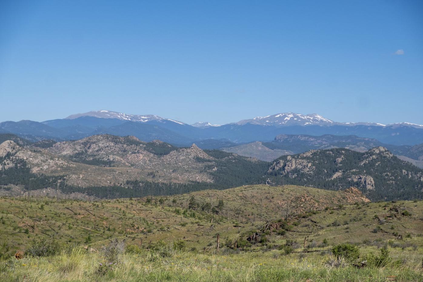 Colorado Trail Segment 3 Little Scraggy