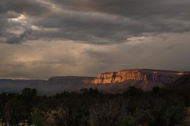 ParadoxValley/dolores canyons.JPG
