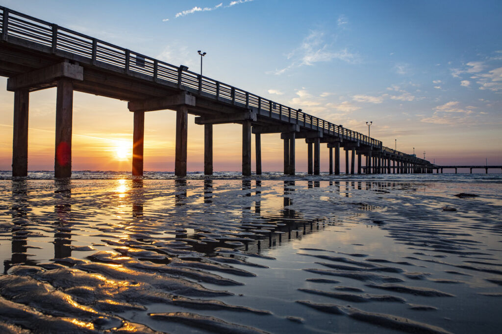 Severe flooding caused ‘unprecedented crisis,’ Galveston Bay oyster destruction