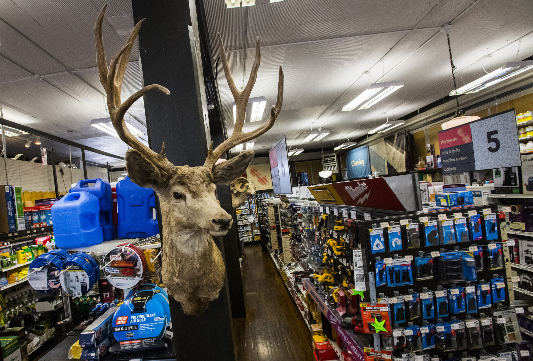 Hunting trophies dating to the 1930s hang on posts in Tomkins Hardware Store. (Christian Murdock, The Gazette file)