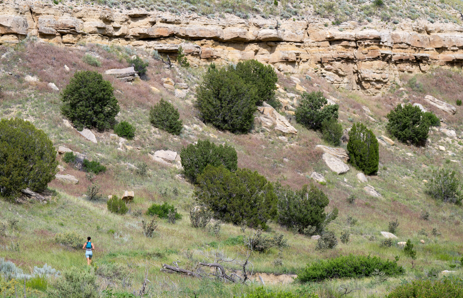 A runner jogs along the South Shore Trail near the interchange with Free Ride Trail Tuesday, June 4, 2024, at Lake Pueblo State Park. (The Gazette, Christian Murdock) (Christian Murdock, The Gazette)