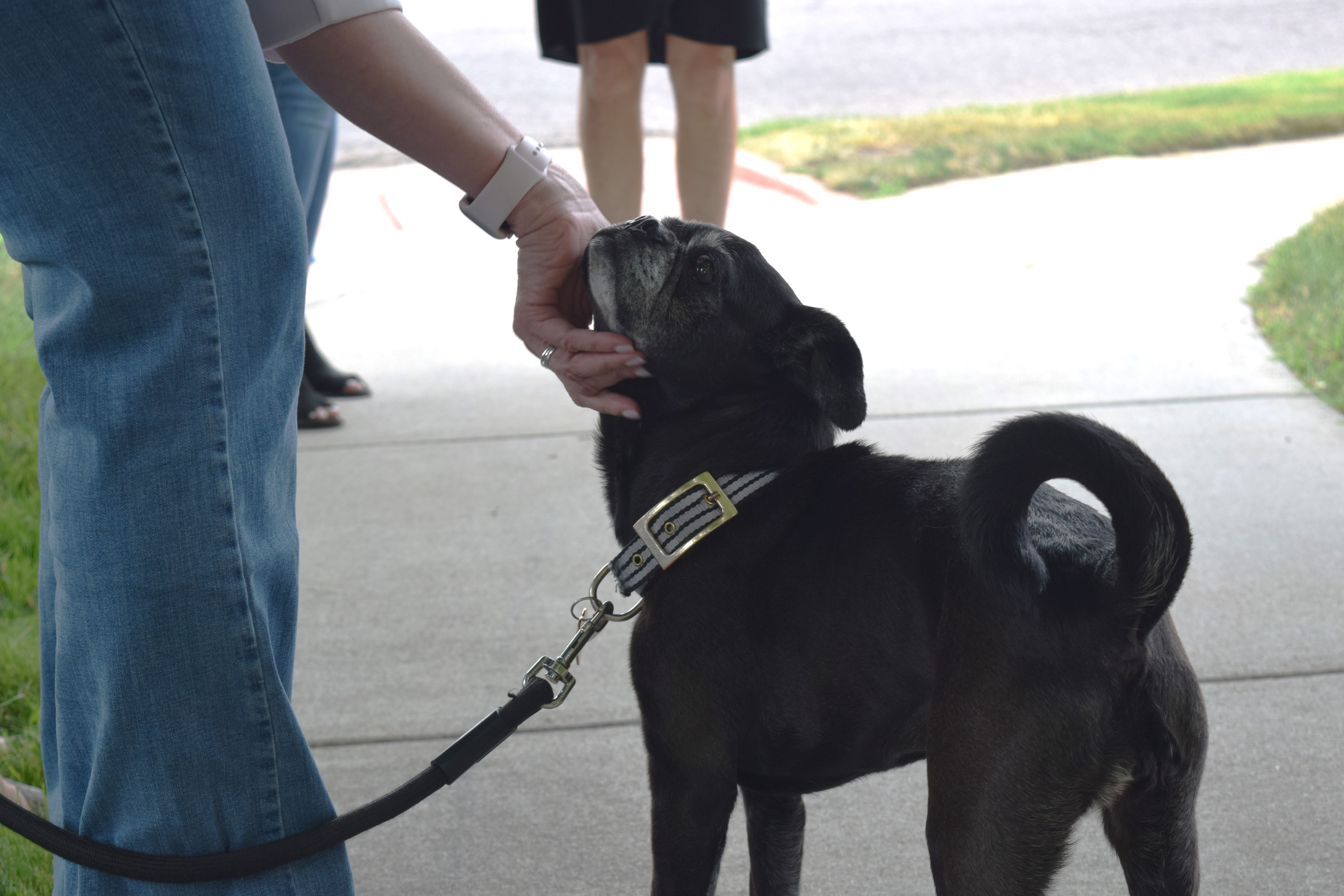 Nick Cordova's dog, six-year-old Mabel, visited Cordova's ceremony on Friday. She's now being cared for by one of the victim's close friends.A celebration of life was held at Mercury Café in January to honor Cordova and raise money for Mabel's veterinary bills. (SageKelleyJefferson County Reportersage.kelley@denvergazette.comhttps://denvergazette.com/content/tncms/avatars/e/5f/457/e5f45740-2717-11ee-85b2-ab80f2d36252.5b966c1d2ce4987987665d57c237eda4.png)