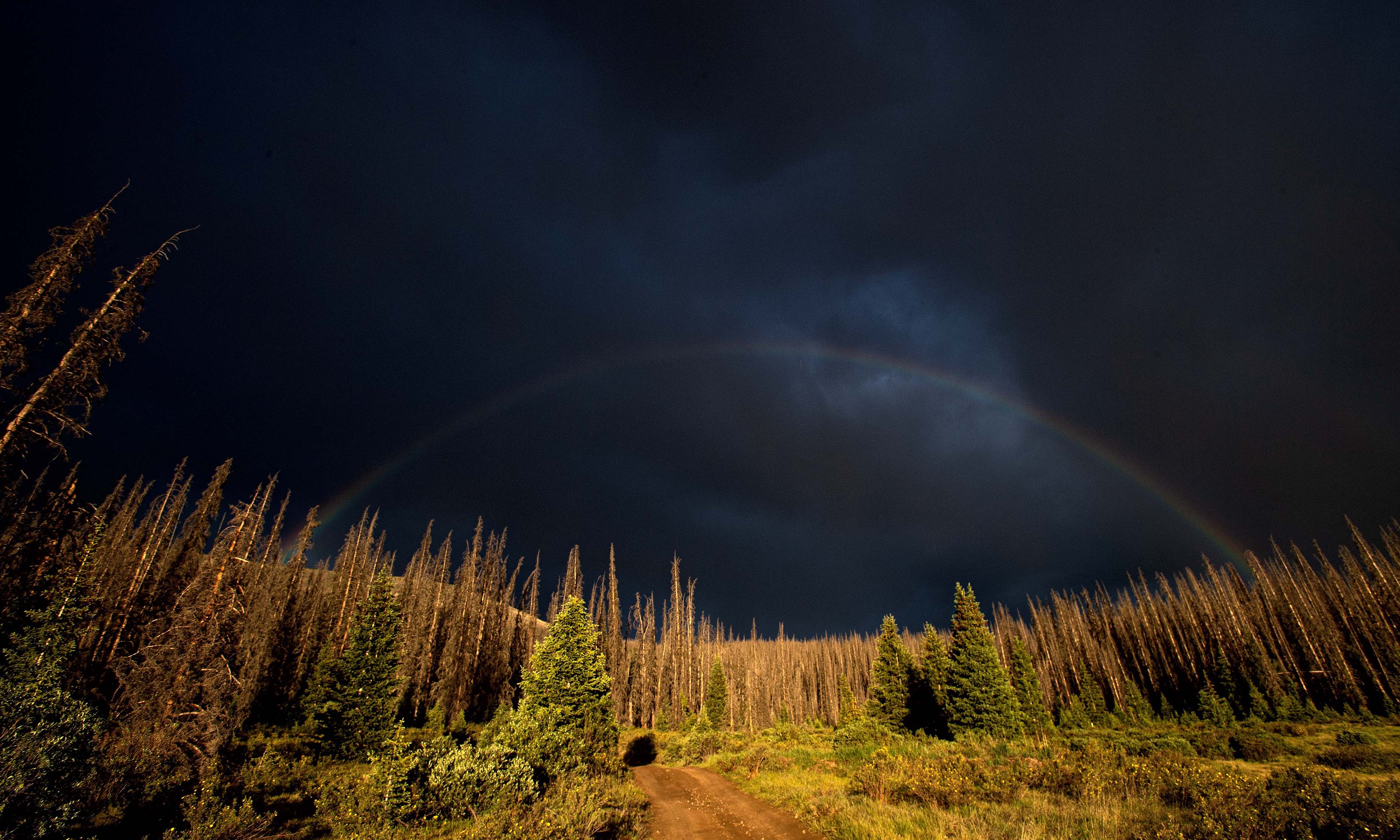 A rainbow shines against the dark clouds after a thunderstorm passed through the La Garita Wilderness Area near Creede, Colo., Sunday, July 5, 2020. (The Gazette, Christian Murdock) (CHRISTIAN MURDOCK/THE GAZETTE)