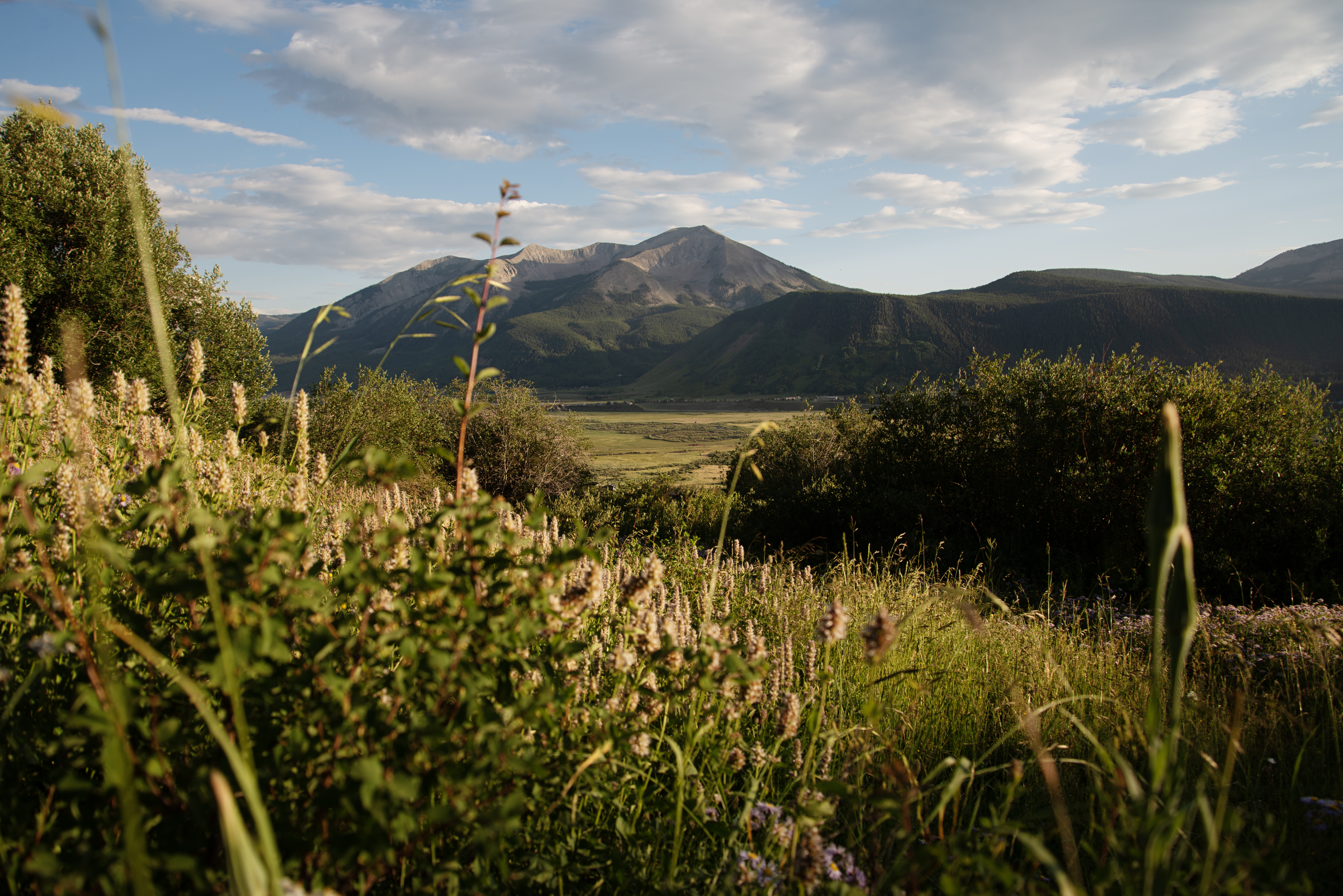 Hillsides overlooking Crested Butte are covered in wildflowers in bloom on Friday, July 26, 2024. (TomHellauerMultimedia Producertom.hellauer@denvergazette.comhttps://denvergazette.com/content/tncms/avatars/f/9e/622/f9e6228a-3b6b-11ed-bf10-fbb71fa8e421.f54b911252c540f1d61709edc4727a39.png)