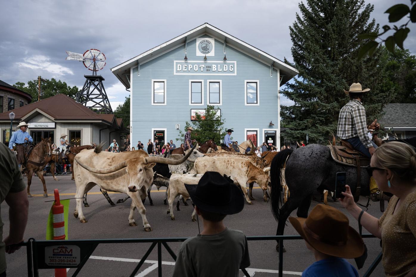 Yeehaw! Two metro Denver area county fairs on tap this weekend