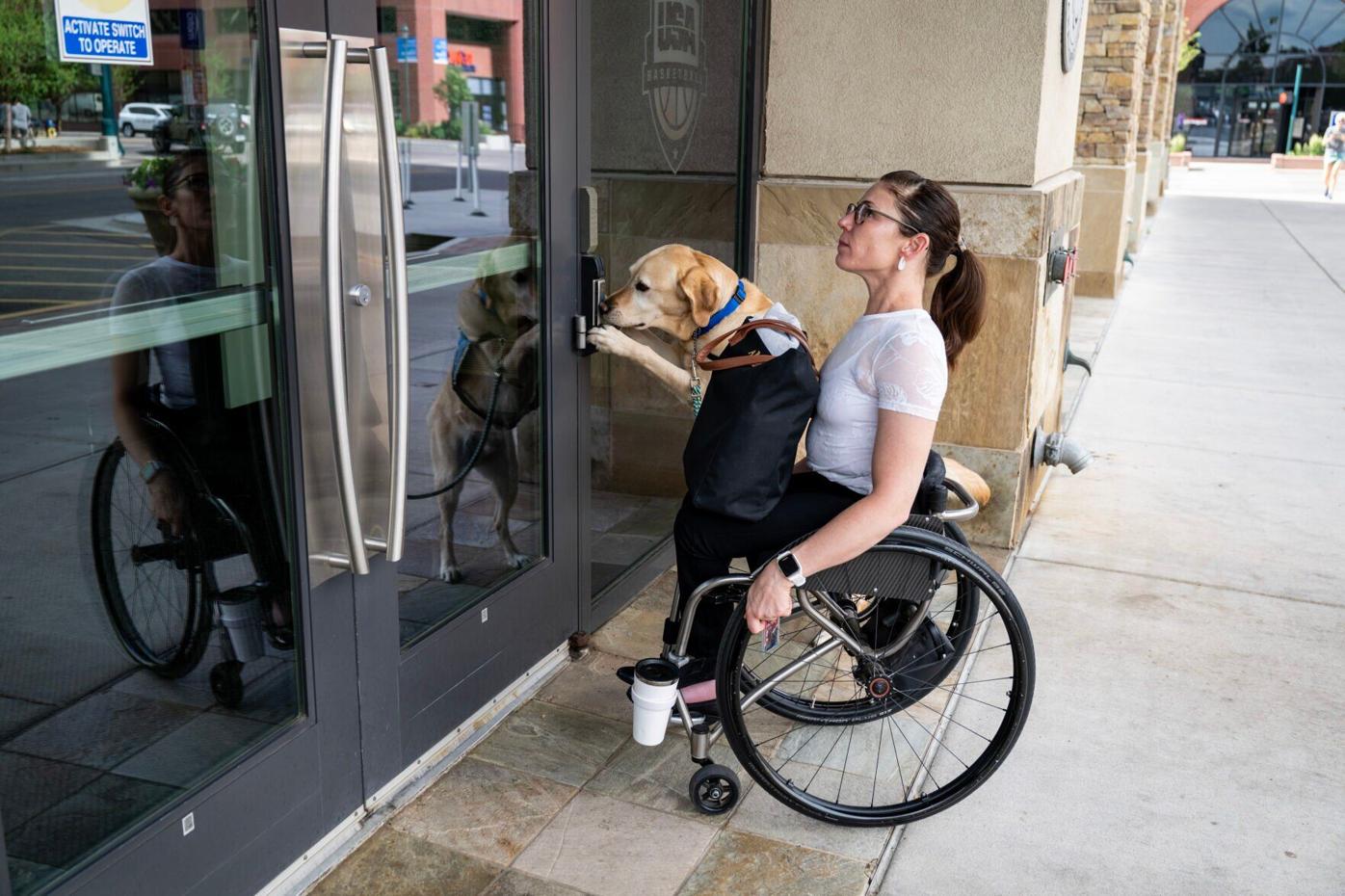 Canine Companions - Amanda and Calvin