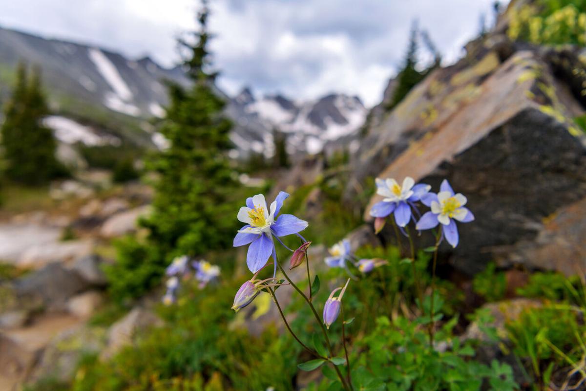 Photo Credit: SeanXu (iStock).