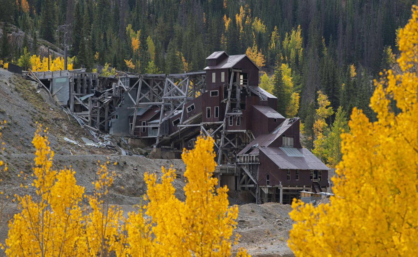 100321-life-aspens 3.JPG