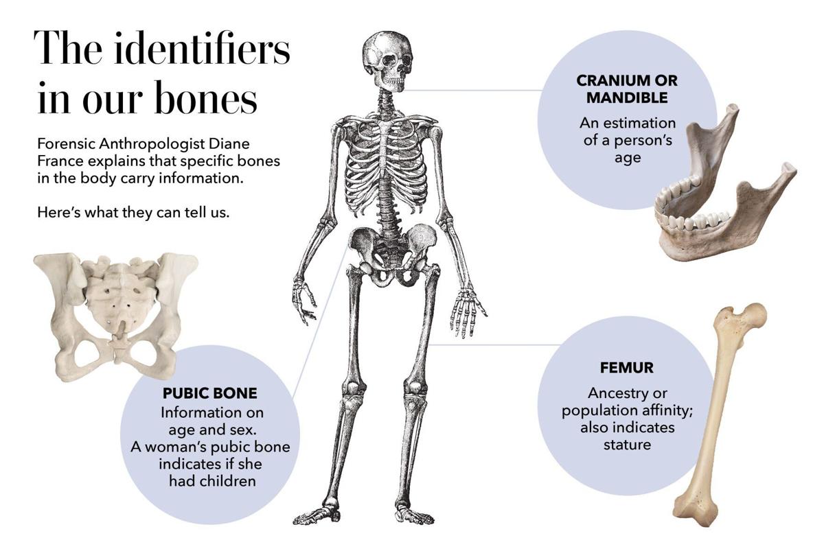 Identifying human bone found at local golf course could take months