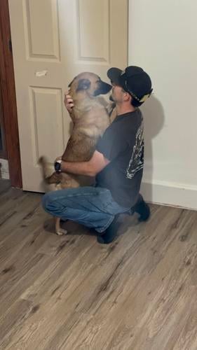 'Konni' is reunited with her owner James Hite