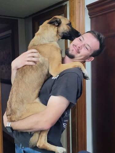 'Konni' and her owner James Hife were reunited