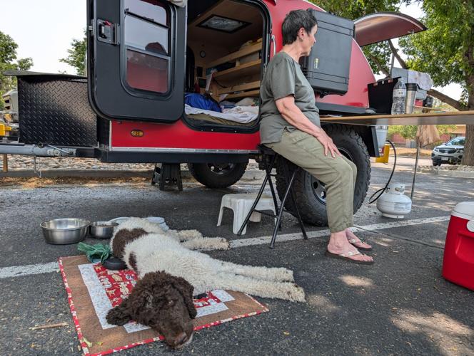 Alexander fire evacuation dog