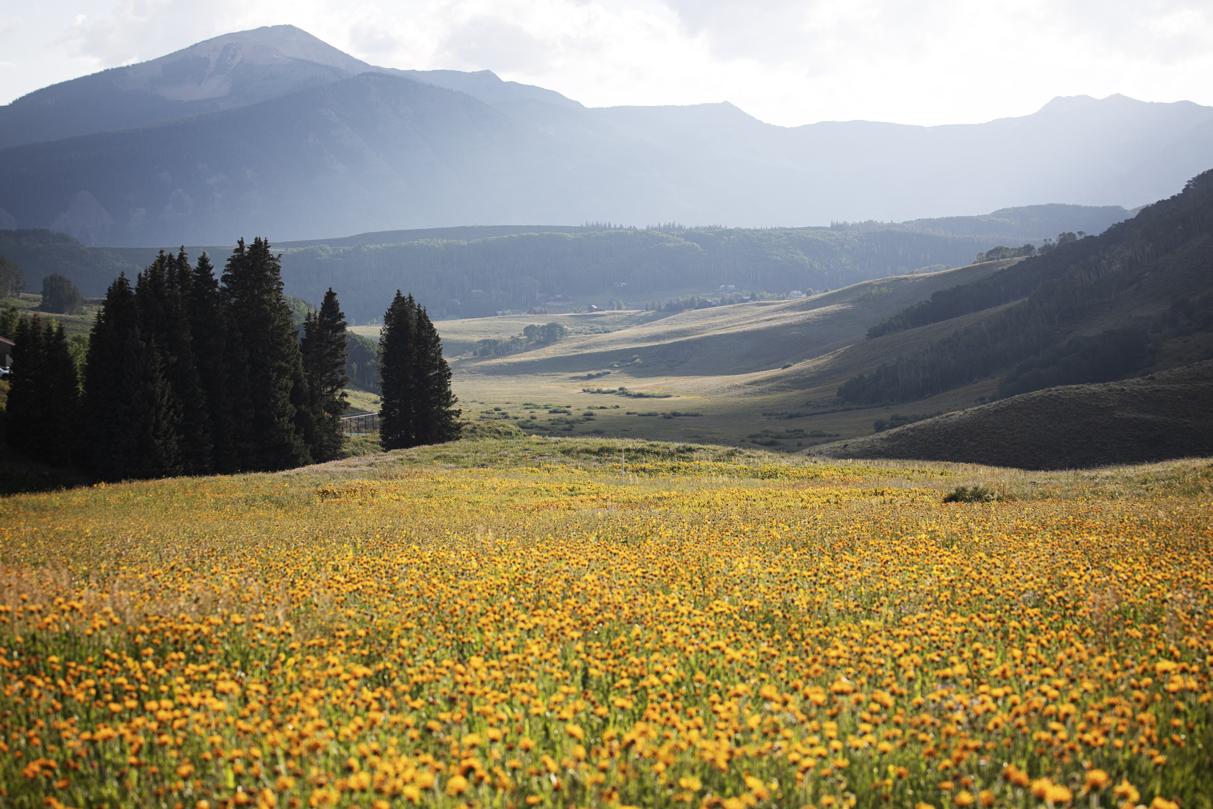 Wildflowers bloom in the hills surrounding Crested Butte, Colo. on Saturday, July 27, 2024. (TomHellauerMultimedia Producertom.hellauer@denvergazette.comhttps://denvergazette.com/content/tncms/avatars/f/9e/622/f9e6228a-3b6b-11ed-bf10-fbb71fa8e421.f54b911252c540f1d61709edc4727a39.png)