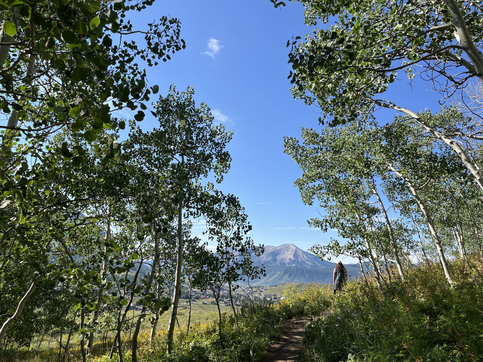 Views from Snodgrass Trail in Crested Butte. (Gazette photo)