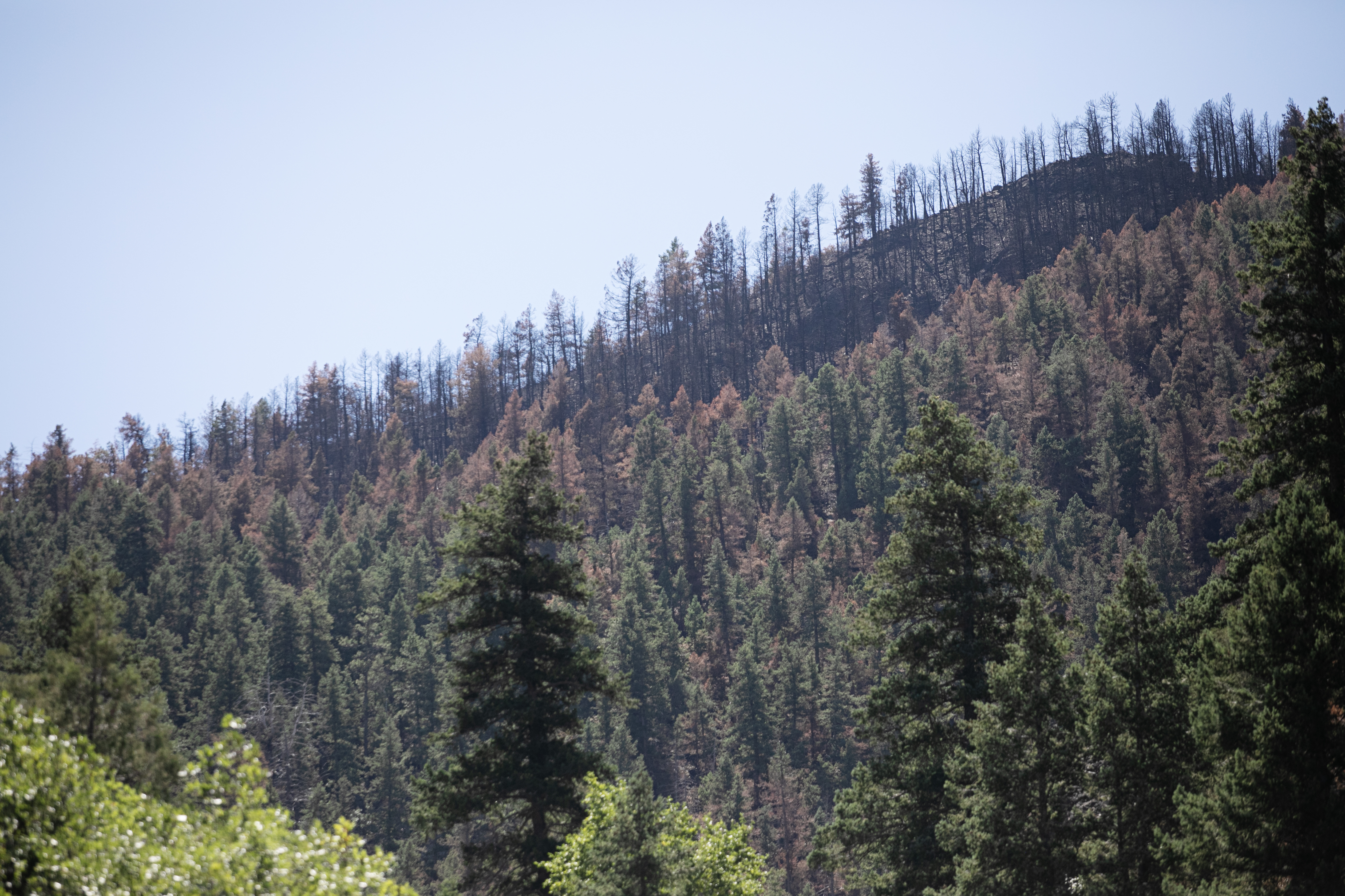 Deer Creek Canyon Park is left burnt in several large areas following the Quarry Fire's path through the park in Littleton, Colo. on Friday, Aug. 16, 2024. (TomHellauerMultimedia Producertom.hellauer@denvergazette.comhttps://denvergazette.com/content/tncms/avatars/f/9e/622/f9e6228a-3b6b-11ed-bf10-fbb71fa8e421.f54b911252c540f1d61709edc4727a39.png)