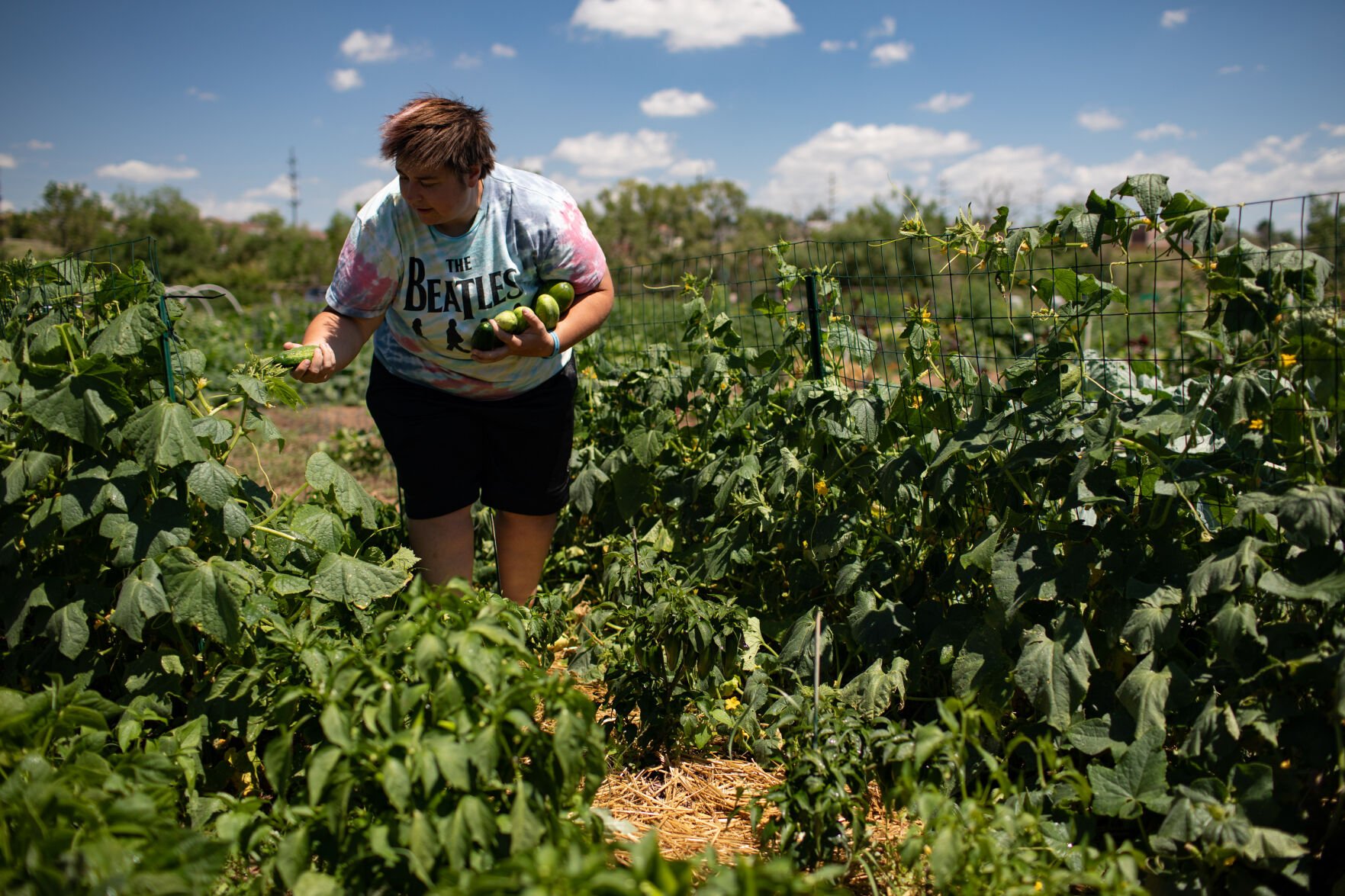 Want to grow your own flowers and vegetables this spring? Bear Creek Community Garden still has plots available