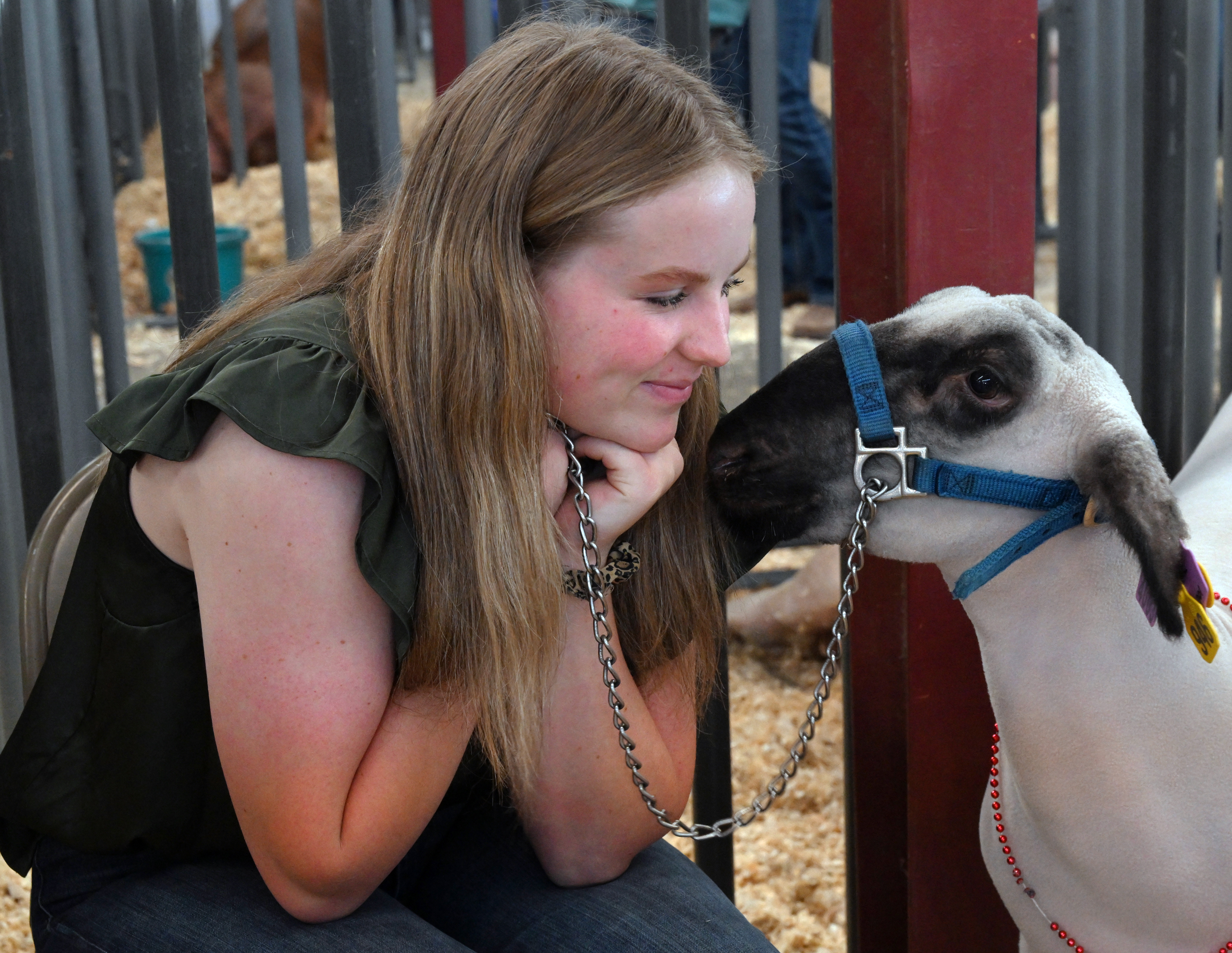 Scenes from the Junior Livestock Auction at the Colorado State Fair on Tuesday, Aug. 27, 2024. (Jerilee Bennett The Gazette)
