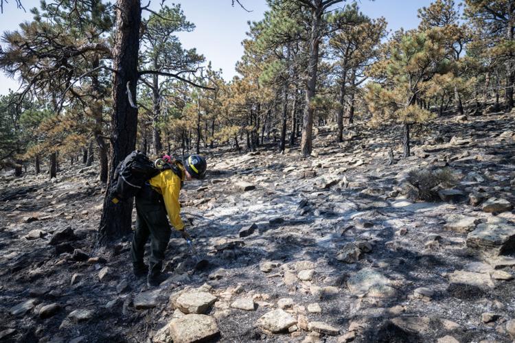 Stone Canyon fire 8