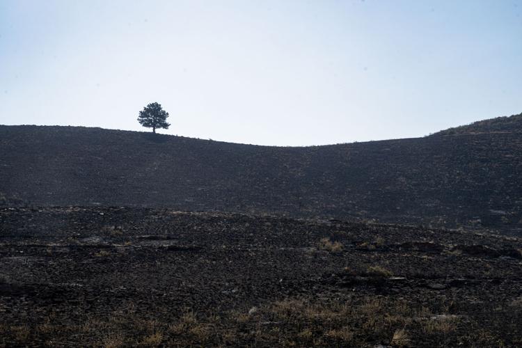 Stone Canyon fire 12