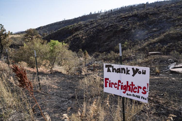 TDG-Stone Canyon-080324-rs-009.jpg (copy)