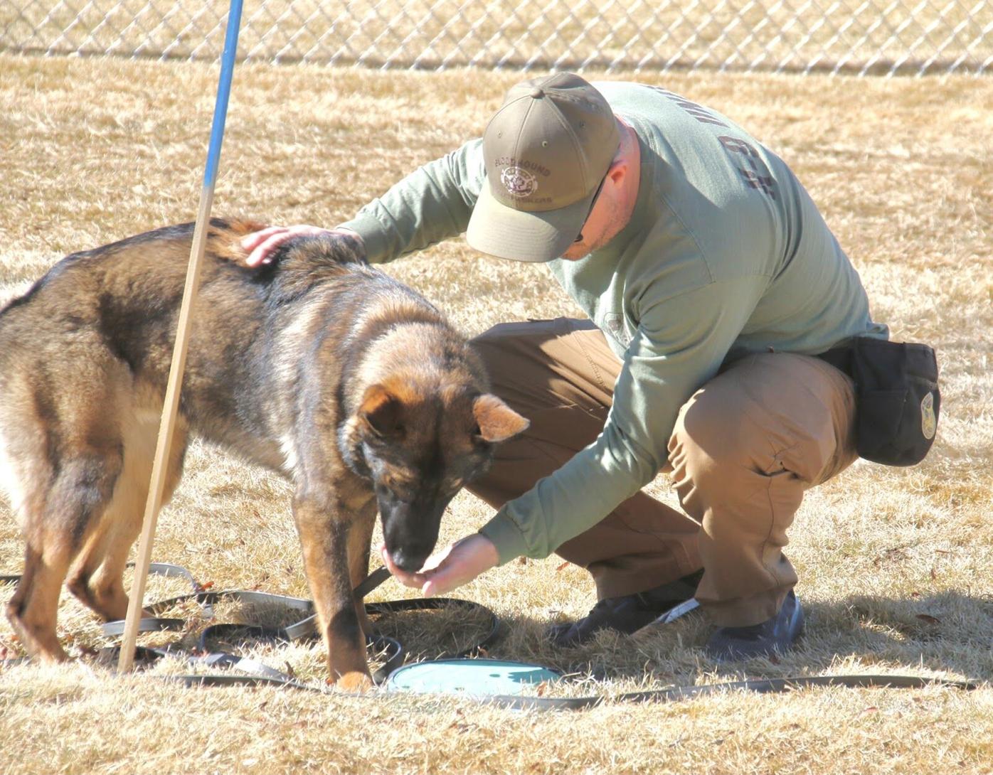Colorado’s new wildfire investigations team grows with 3 additional K-9 fire investigators