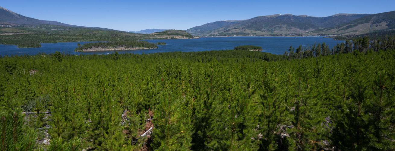 081224-ot-peninsula-dg 9.jpg