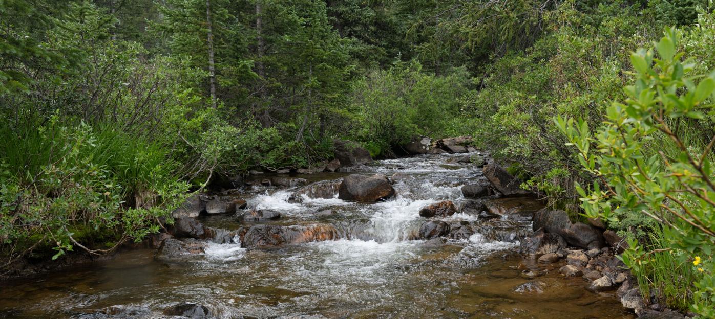 Colorado water rights: A complex system and pricey process