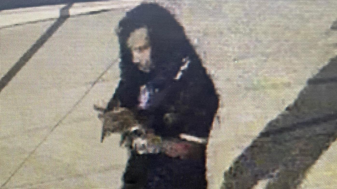 Police release photo of man wanted in connection with Fort Collins homicide